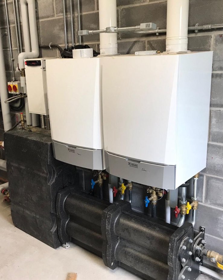 DD Mechanical tweet media