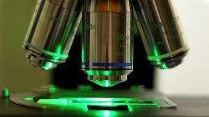 BMC_series's tweet image. #BMCBioInformatics welcomes submissions to its new Collection on "Computational methods in microscopy image analysis". To find out more, visit: biomedcentral.com/collections/CM…