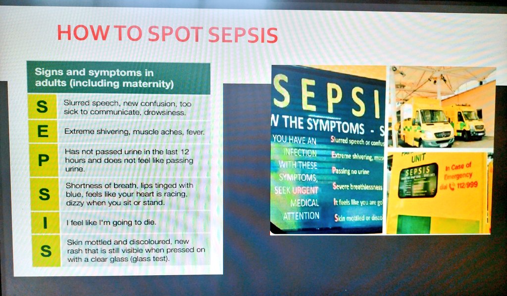 Yvonne Young 🌈 tweet media