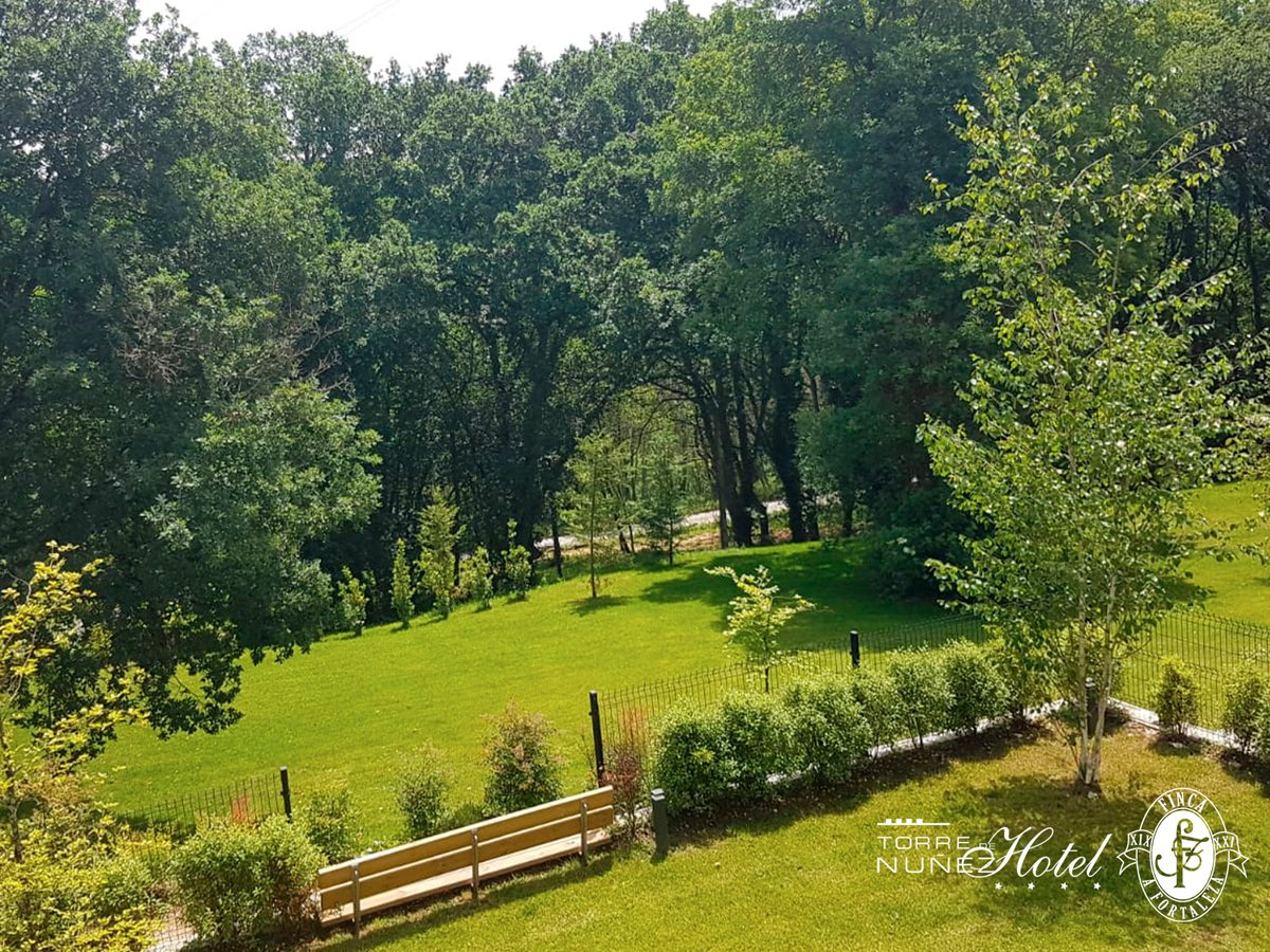 HotelTdN's tweet photo. Hola, Veranito 👋☀️ ¡Te estábamos esperando! 

Ven a relajarte y recargar energías en nuestro #Hotel rodeado de naturaleza.

Llámanos ☎️ 982 30 40 40 📲 +34 676 75 52 78 https://t.co/NibVI4vOuX 

#HotelTDN #verano #vacaciones #Galicia #familia https://t.co/kbFXjFmGTx