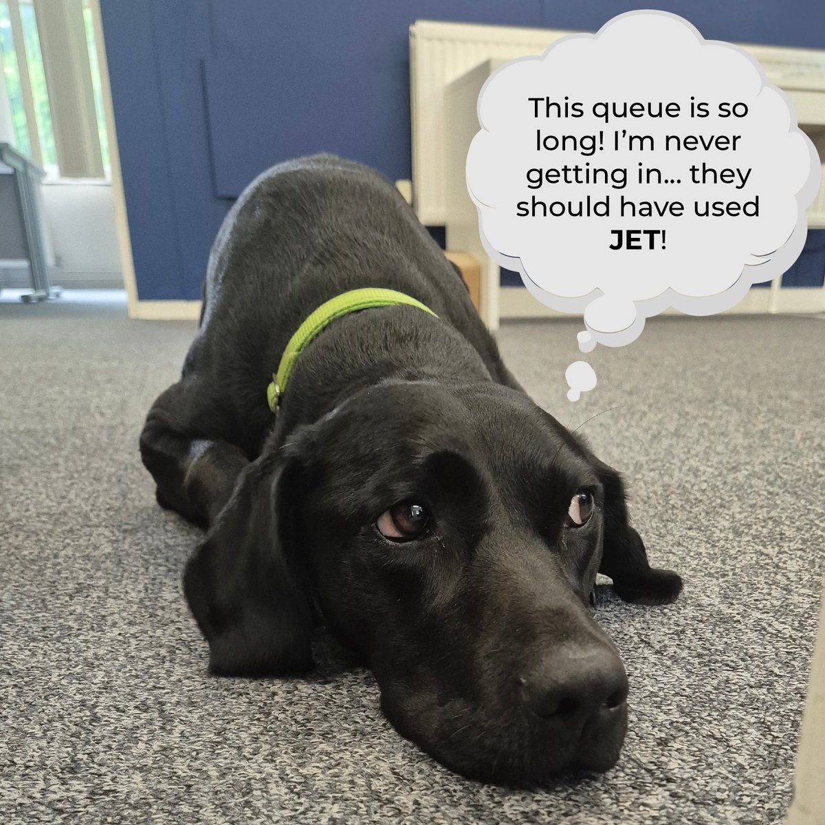 We know slow entry and long queues for an event can feel 'ruff' and never-ending.

This is why at JET our event registration solution keeps the flow of attendees moving steadily, without the 'pawfully' long lines!🐾🐶

#EventRegistration #EventProfs #TeamJET