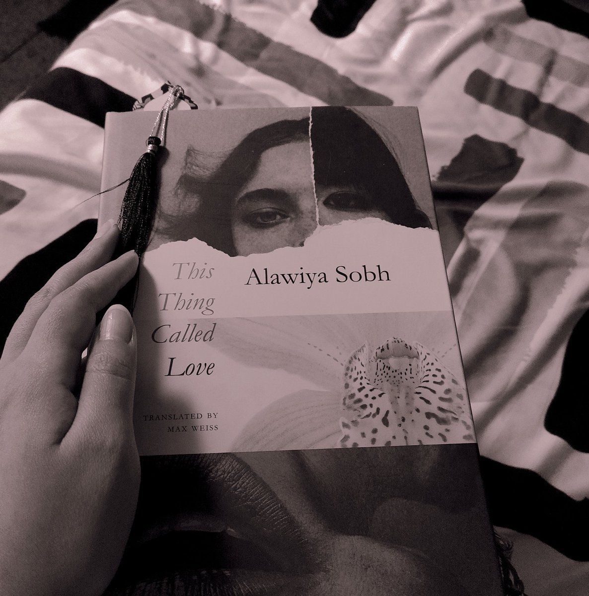 ipshita77's tweet photo. Afternoons. Dusty. Stormy. Sepia-toned. Technicolour.
And then there’s love even in the dust-storm. 
#AlawiyaSobh #ArabLit 🍂 https://t.co/Hr4hZxSg7b