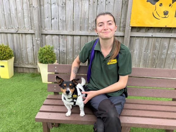 DogsTrust West Calder (Edinburgh) and Dundee tweet media