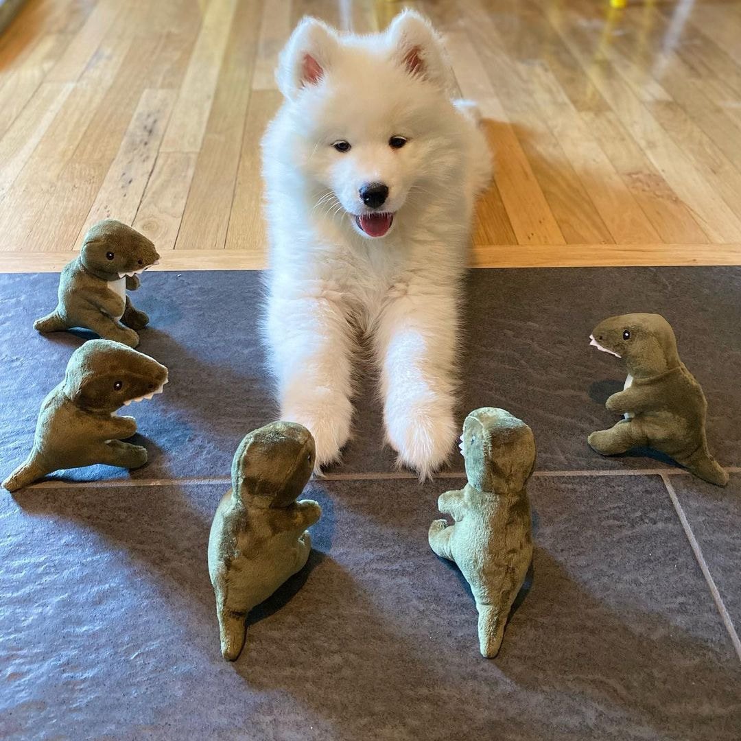 우리의팬미팅♥️