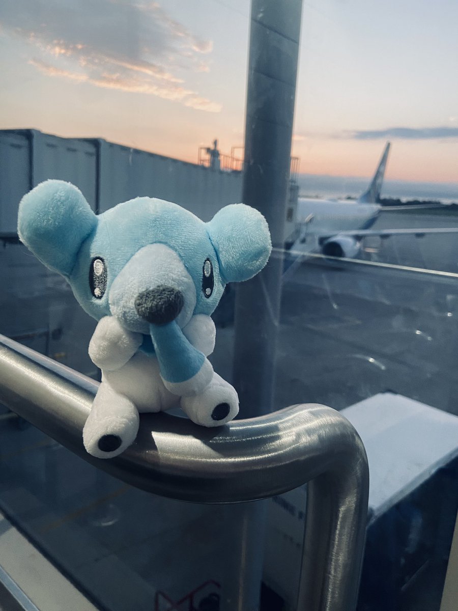 anni3magic's tweet image. he says he’s flown a plane before, do we believe him? 🤔