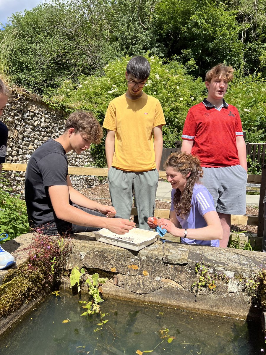 Biology at Alleyn's School (@alleyns_biology) on Twitter photo Marking pond snails with “snail varnish” ready for release and recapture tomorrow at the beautiful sunny <a href="/FSCJuniperHall/">FSC Juniper Hall</a> in Surrey. <a href="/Alleyns_Biology/">Biology at Alleyn's School</a> <a href="/_JaneLunnon/">Jane Lunnon</a> <a href="/AlleynsSchool/">Alleyn's School</a> #AlleynsYear12 #AlleynsBiology Marking pond snails with “snail varnish” ready for release and recapture tomorrow at the beautiful sunny <a href="/FSCJuniperHall/">FSC Juniper Hall</a> in Surrey. <a href="/Alleyns_Biology/">Biology at Alleyn's School</a> <a href="/_JaneLunnon/">Jane Lunnon</a> <a href="/AlleynsSchool/">Alleyn's School</a> #AlleynsYear12 #AlleynsBiology