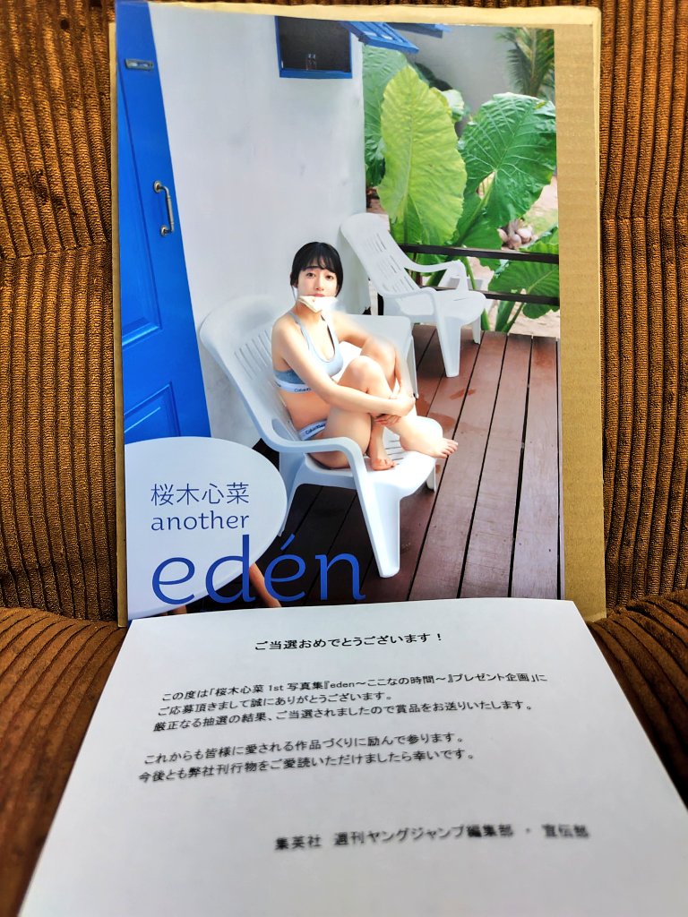 桜木心菜1st写真集