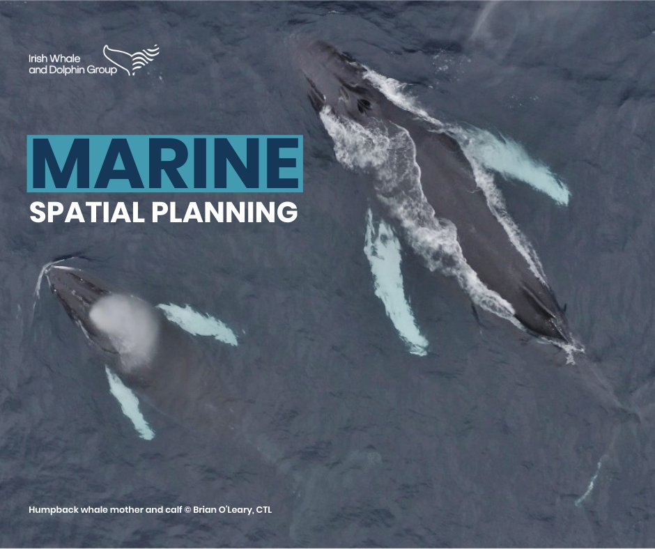 Irish Whale and Dolphin Group (@iwdgnews) on Twitter photo Marine Spatial planning in Ireland requires good data on the distribution and abundance of marine species to inform good decision making.
A new paper by PhD candidate Miguel Blazquez <a href="/atu/">mini๐botanica</a> explores this by accessing the IWDG Cetacean Database, available at iwdg.ie/members/researโฆ Marine Spatial planning in Ireland requires good data on the distribution and abundance of marine species to inform good decision making.
A new paper by PhD candidate Miguel Blazquez <a href="/atu/">mini๐botanica</a> explores this by accessing the IWDG Cetacean Database, available at iwdg.ie/members/researโฆ
