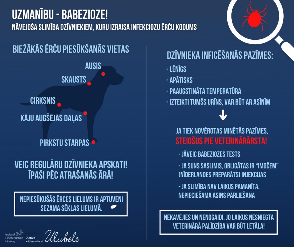 Ulubele's tweet image. Atgādinam: 🐾profilakse ir daudz lētāka kā dzīvnieka ārstēšana. Ieej vēl šodien jebkurā zooaptiekā vai vet klīnikā un jautā savam sunim visatbilstošāko līdzekli pret ērcēm. Izlasi, cik nopietni var beigties tava vieglprātība: ulubele.org/pasarga-savu-u…
Lūdzu dalies un palīdzi🙏🐾