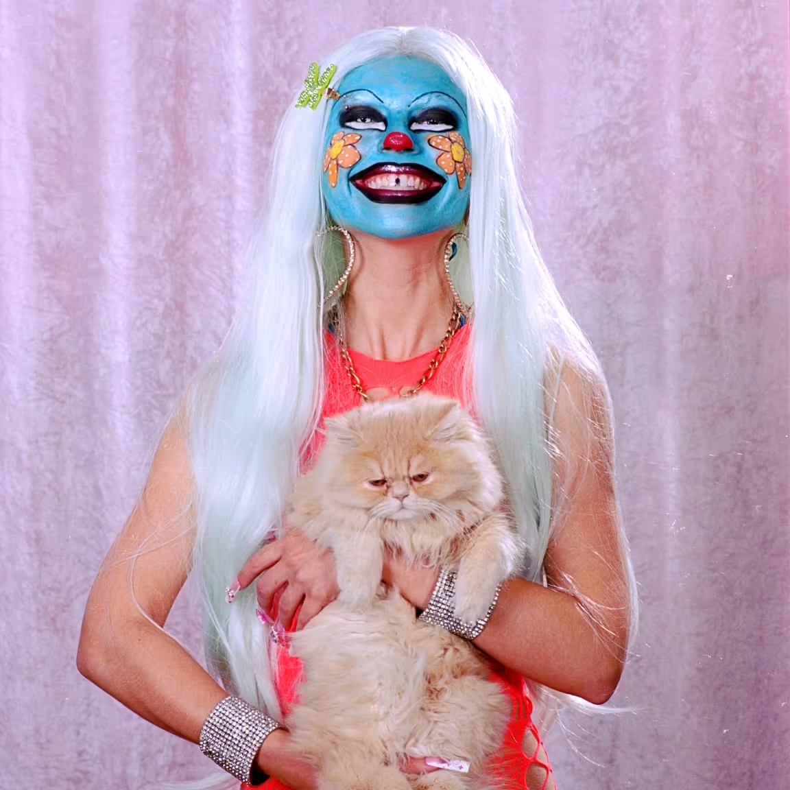 matman 🫧 tweet media