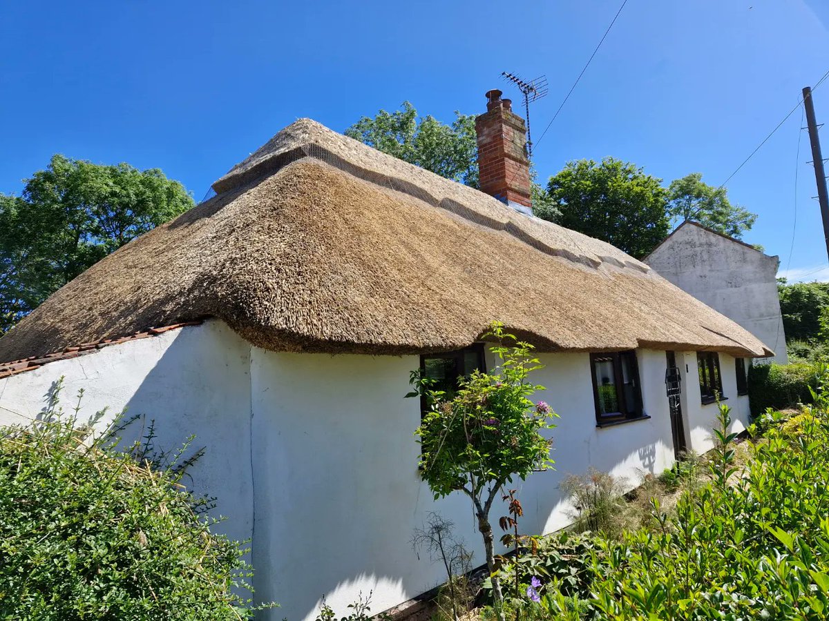 A freshly thatched roof, in Norfolk.

I have loved working here, using local and natural materials to revitalise a delightful cottage.

The cottage is clay lump, the roof is reed and straw. All low tech, all effective, all beautiful.