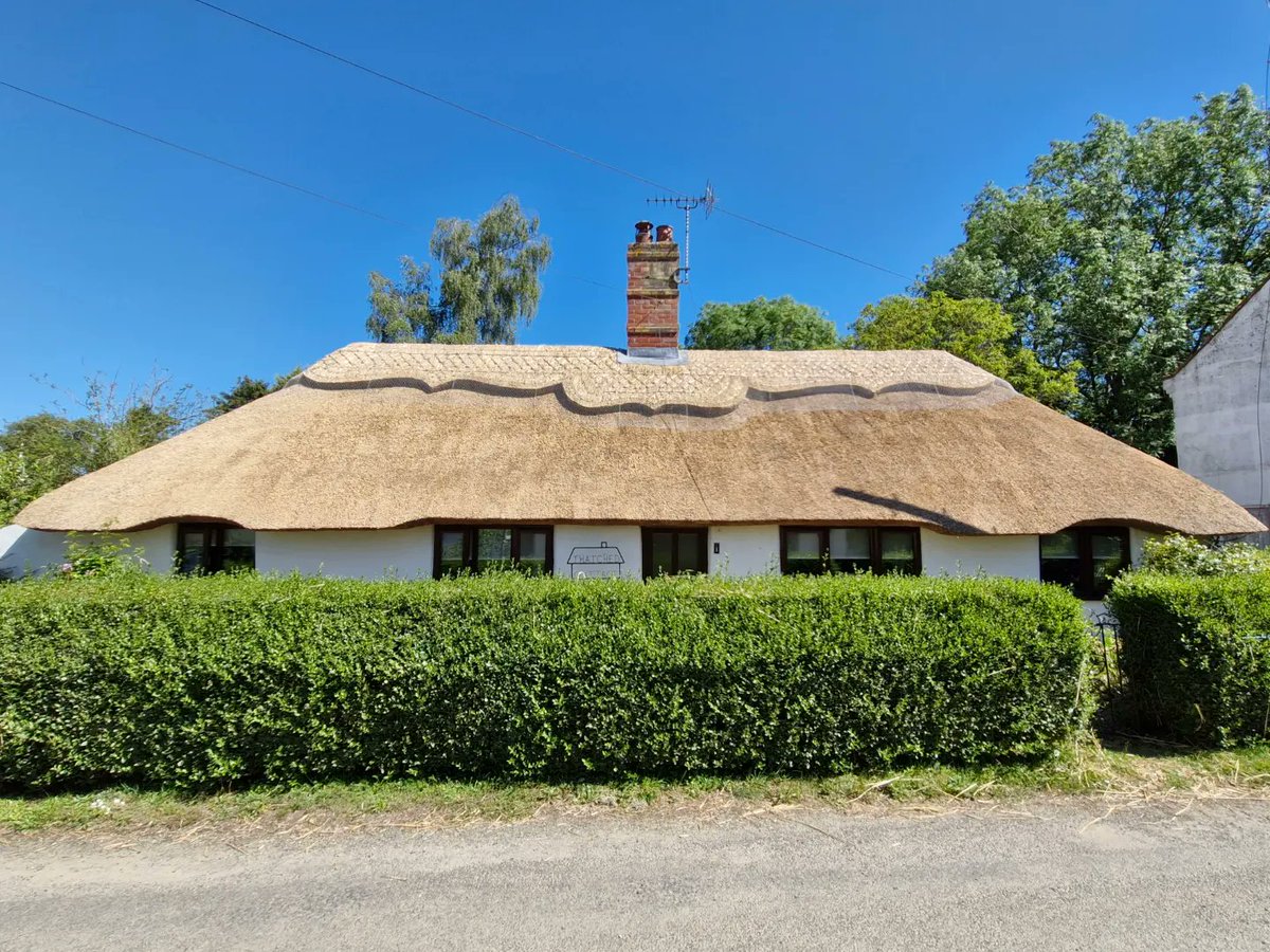 Nick Walker tweet media