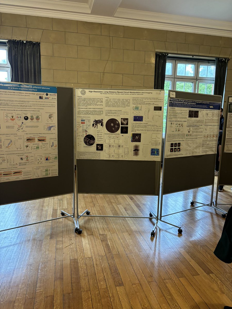 Filip Tomaska tweet media