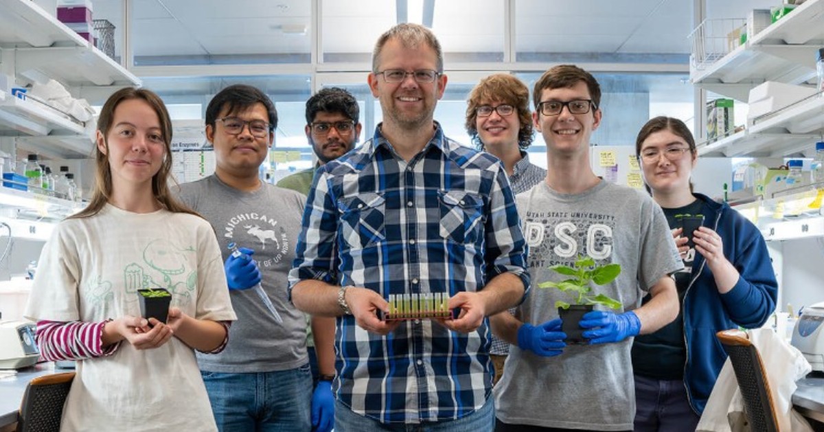 Plant researcher Peter Lundquist has won a $1.5M Faculty Early Career Development Award from the <a href="/NSF/">U.S. National Science Foundation</a>. Lundquist's work investigates how plants respond to stressors. <a href="/MSU_BMB/">MSU Biochemistry & Molecular Biology</a> @MSUDOEPlantlab

Read about his research: natsci.msu.edu/news/2024-06-l…