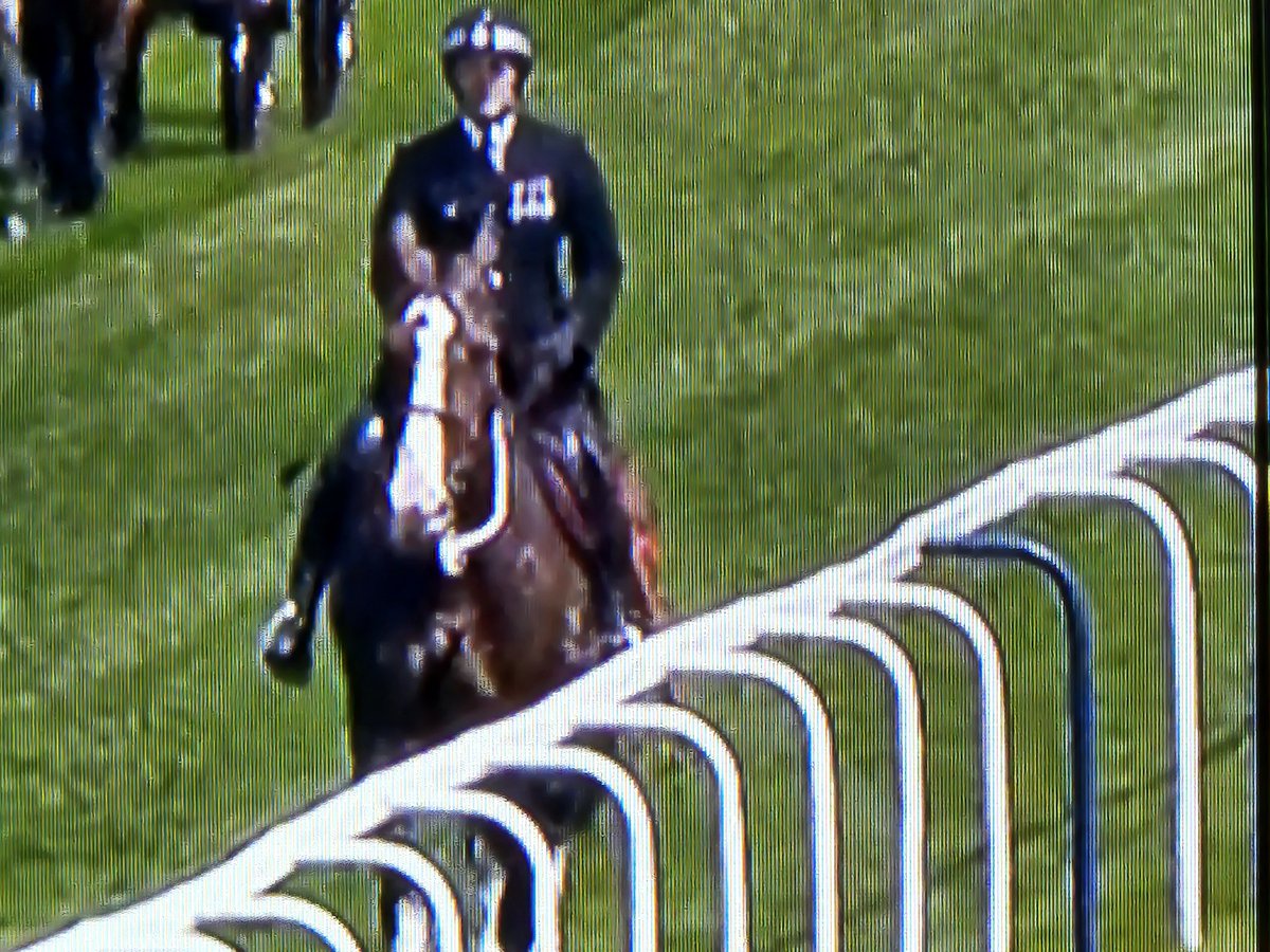 jdbw13's tweet photo. @TVP_horses This post on day four of Royal Ascot is all about the legendary Atlas.

Atlas is retiring from duty after Royal Ascot following seven years of faithful service with Thames Valley. His place as one of their most loved police horses of all time is well assured. https://t.co/qcPtas6Ow0