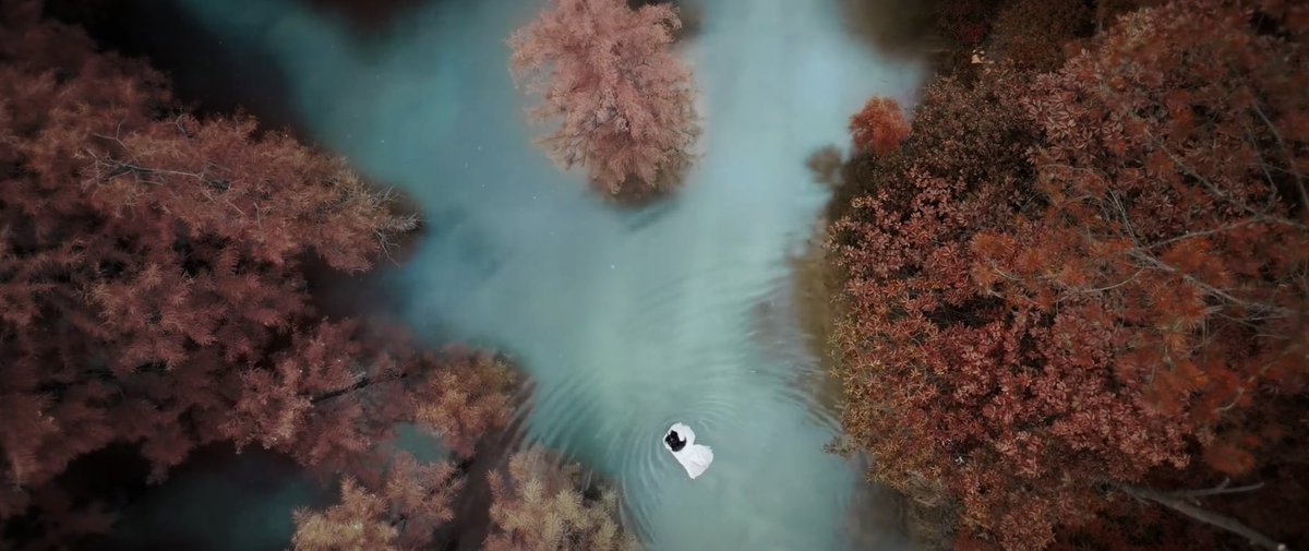 this drama is pretty when there’s no dramatic zoom ins and edits distracting you 🌿

#墨雨云间 #thedouble