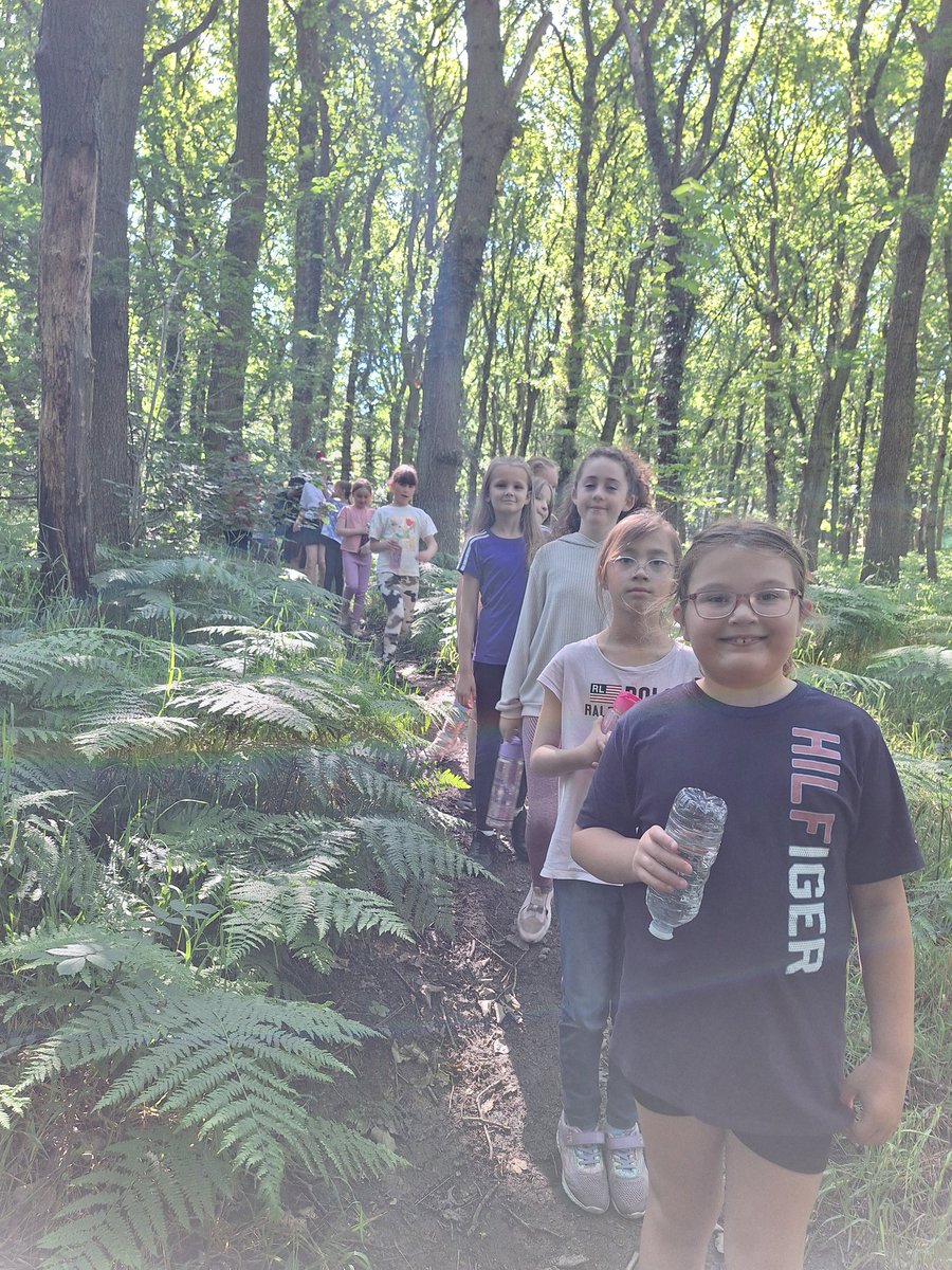 MrsRees7's tweet photo. Lovely walk this morning through Birdwell woods. @PrimaryBirdwell https://t.co/MlGAW026lz