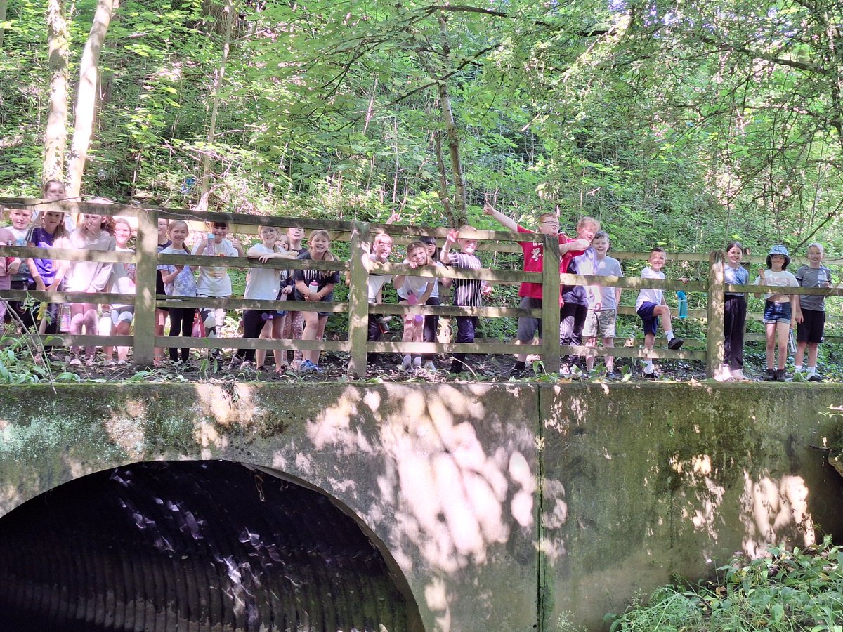 MrsRees7's tweet photo. Lovely walk this morning through Birdwell woods. @PrimaryBirdwell https://t.co/MlGAW026lz
