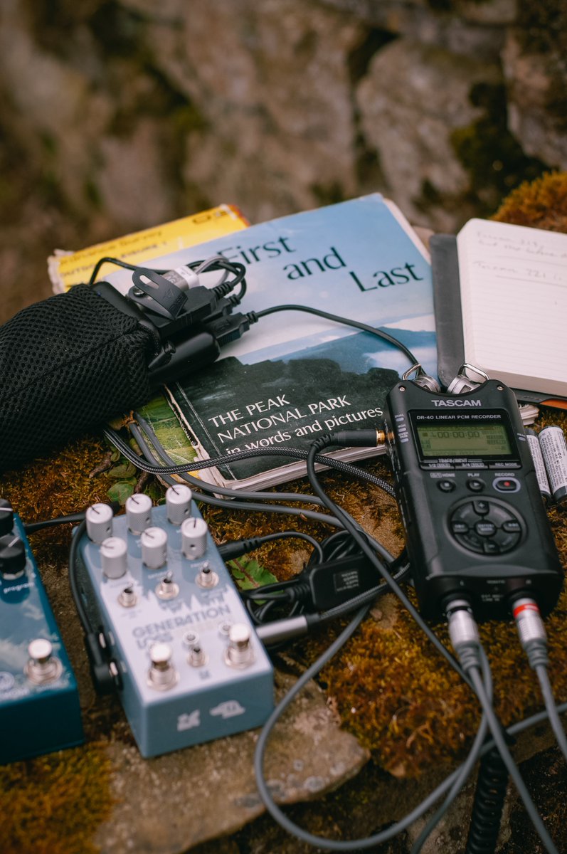 Site Nonsite tweet media