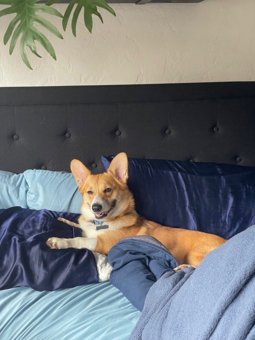 good morning https://t.co/FI6WjMsCL8