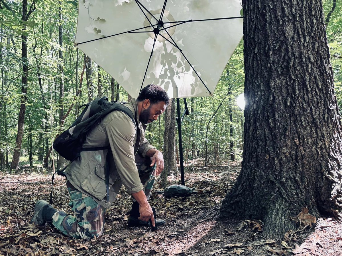 And that's a wrap! Stay tuned ladies and gents!
#dystopian #series #comingsoon