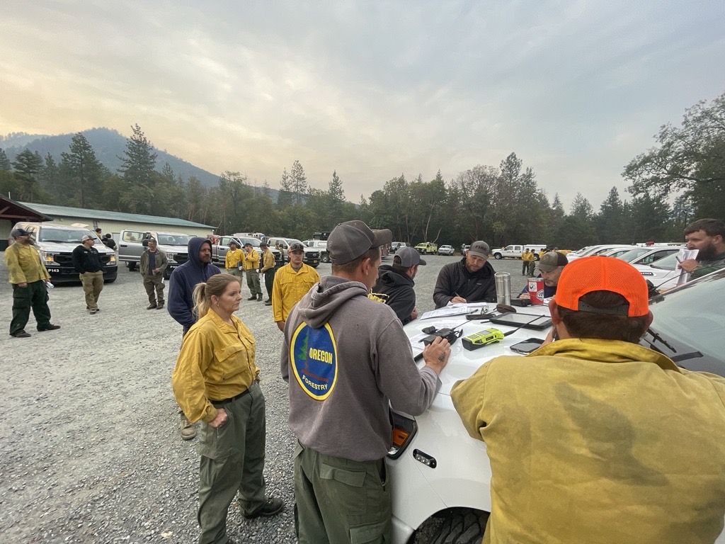 ODF Southwest tweet media