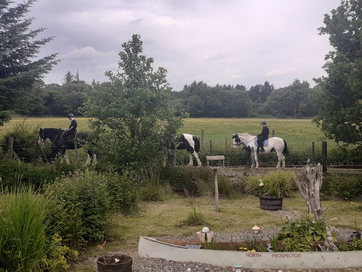 Mrs James tweet media