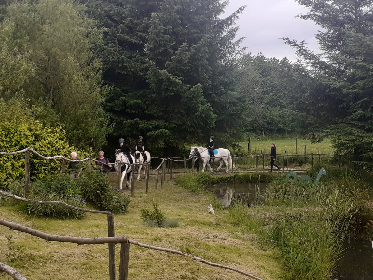 Mrs James (@mrsjames_sa) on Twitter photo BGE team had a brilliant morning <a href="/RDAGlasgow/">RDAGlasgow</a> showing off their horse riding skills to family members! Wonderful to see them confidently riding independently (!) and impressing everyone there! BGE team had a brilliant morning <a href="/RDAGlasgow/">RDAGlasgow</a> showing off their horse riding skills to family members! Wonderful to see them confidently riding independently (!) and impressing everyone there!
