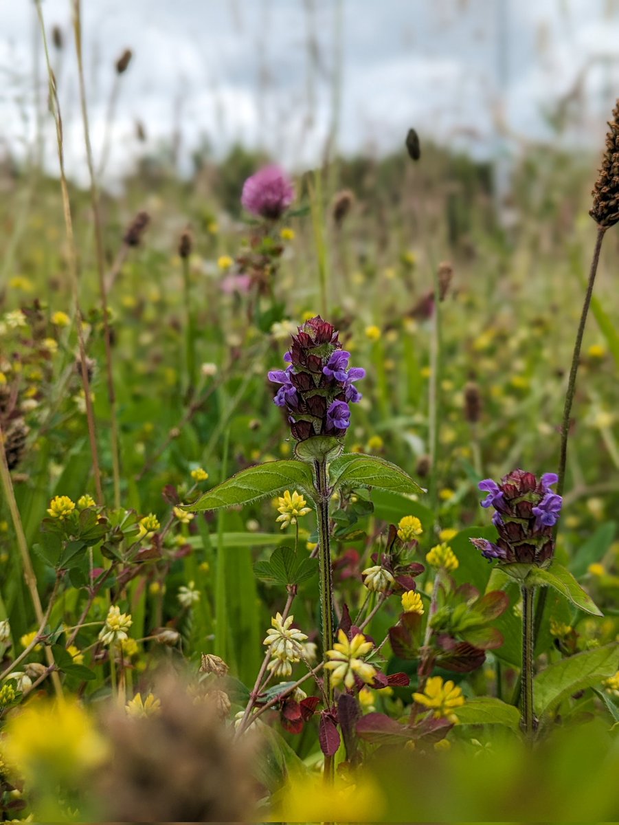 Ben Malone tweet media