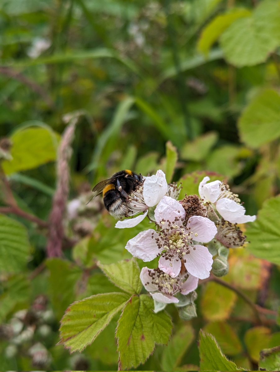 Ben Malone tweet media