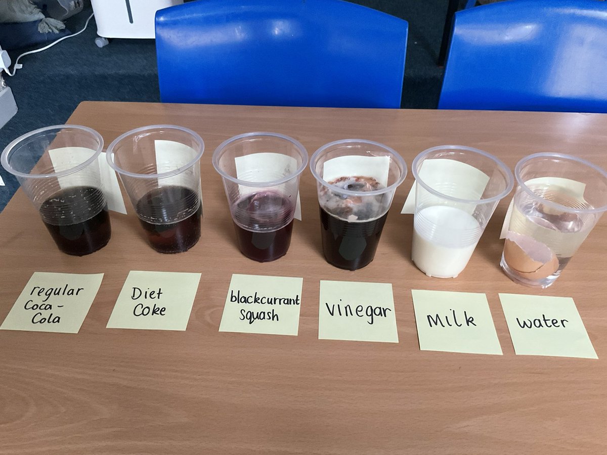 StBernardsep's tweet photo. Team 4 have set up an experiment to test how different drinks can impact our teeth. We have used eggs shells to represent our tooth enamel. Which liquid do you think will cause the most/least damage? We canβt wait to observe the changes over the next week. #stbScience https://t.co/fOIjVgdBQr
