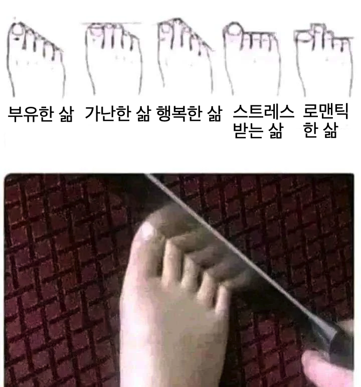 aQuoteAday's tweet photo. 발가락 모양으로 보는 운세 https://t.co/s3y3lr9xBT