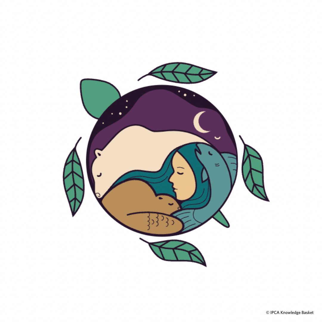 Today, people across the country are celebrating the unique cultures &amp; numerous contributions of First Nations, Inuit &amp; Métis Peoples. One way you can celebrate is by exploring the <a href="/IPCABasket/">IPCA Knowledge Basket</a> website. 1/2