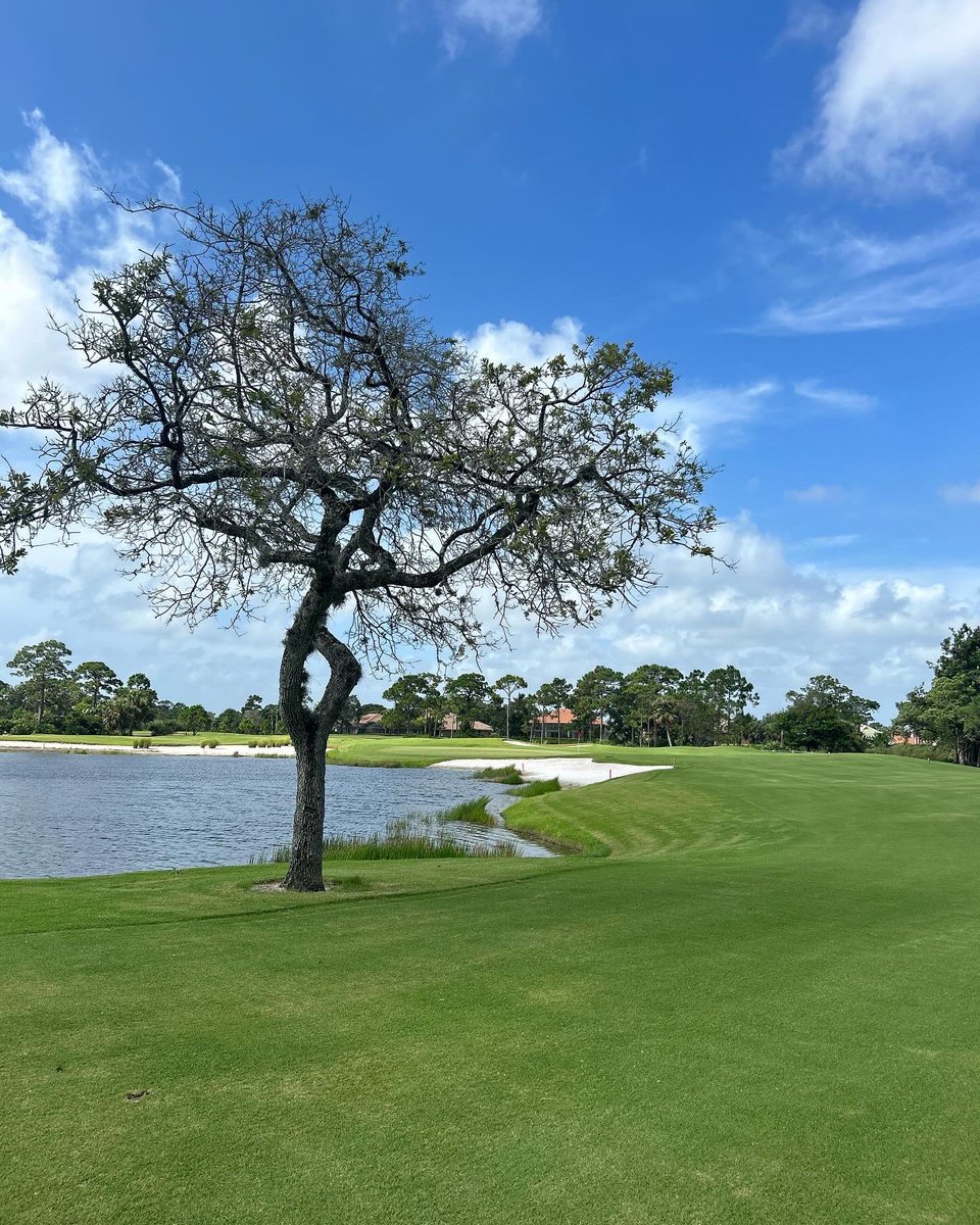 Paradise in Florida⛳️
