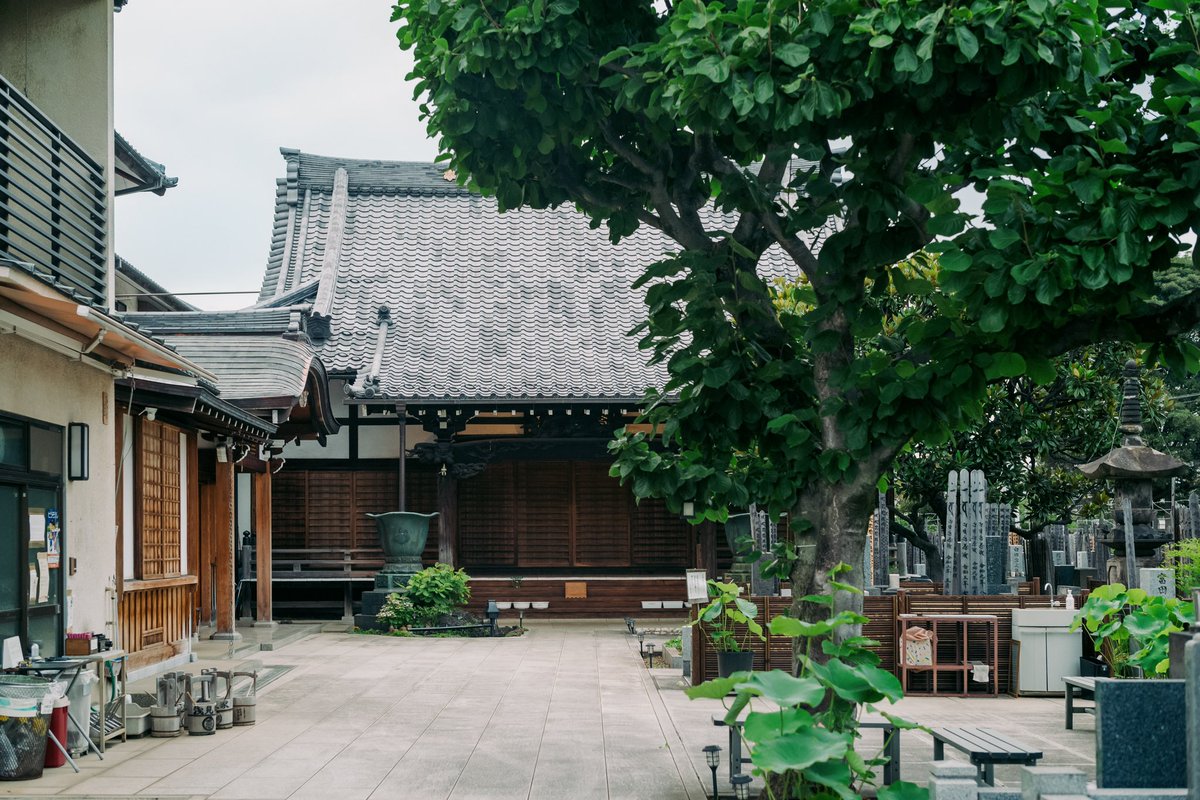 Just a beautiful villa in Kyoto, Japan

#Japan #leicam10