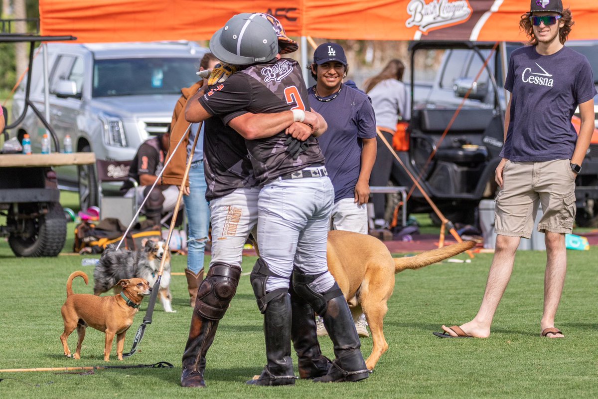 PoloAssociation's tweet photo. These polo pups are regulars at the office!🐕💼 #NationalTakeYourDogToWorkDay
#PopPup #PoloDog #Dog #Doggo #Pupper https://t.co/y8BXWBuxFY