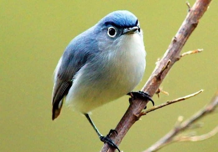 푸슝깅이 이거ㅇㅇㅅ래
나는 이런 모에화 하려다가 참고 그냥 안올렸는데