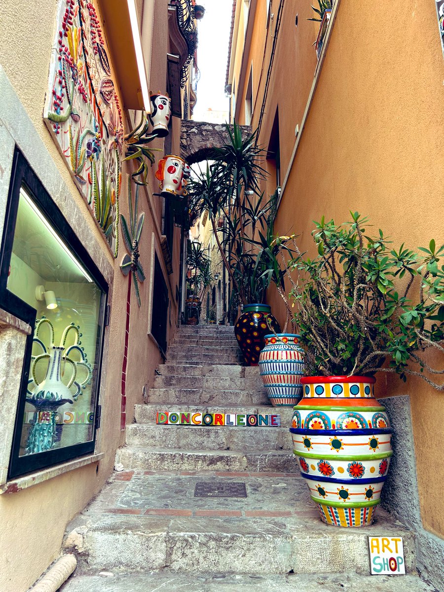 FAY COULL tweet media