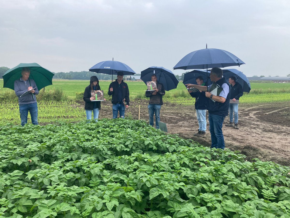 De hele week hebben we een mooie proef gedemonstreerd in Helvoirt,  met nieuwe ontwikkelingen voor de aanpak van Phytophthora in aardappelen .
