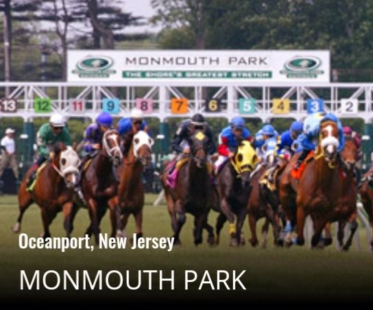 oscarsito81's tweet photo. #Hipismo #Americanas #HorseRacing #BettingExpert @TwinSpires #FreePicks #BetsBest 
Day: #Viernes #June21th 
Hipódromo: @MonmouthPark #Oceanport #NewJersey
RACE 1: 147
RACE 2: 623
RACE 3: 462
RACE 4: 145
RACE 5: 954
RACE 6: 8 GO IRISH 💵
RACE 7: 1 GOLD TRUST 💵
RACE 8: 154 https://t.co/cA8SpEY6br