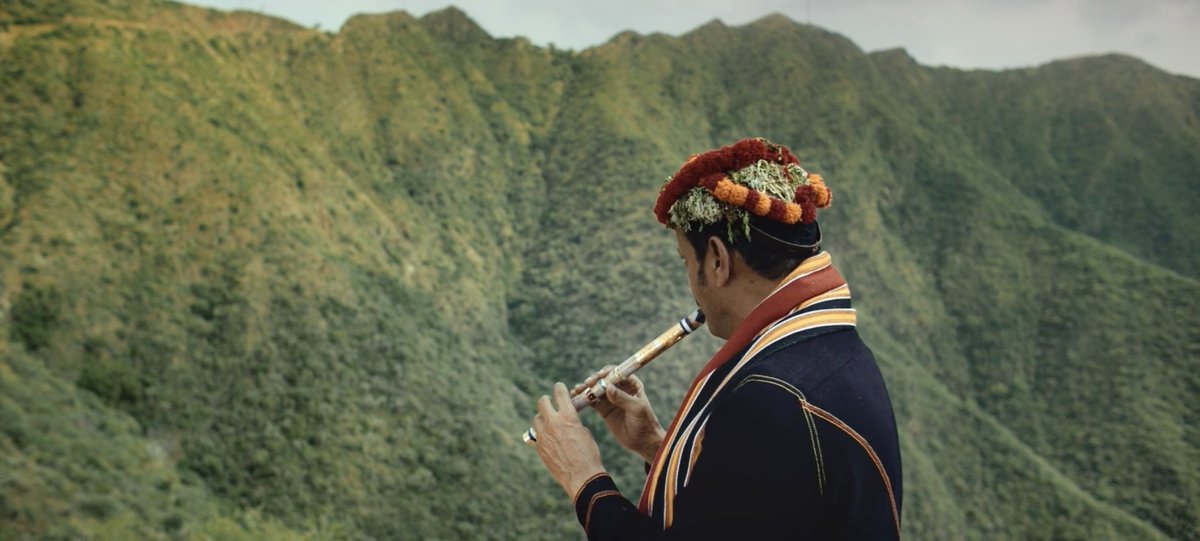 جذر للانتاج tweet media