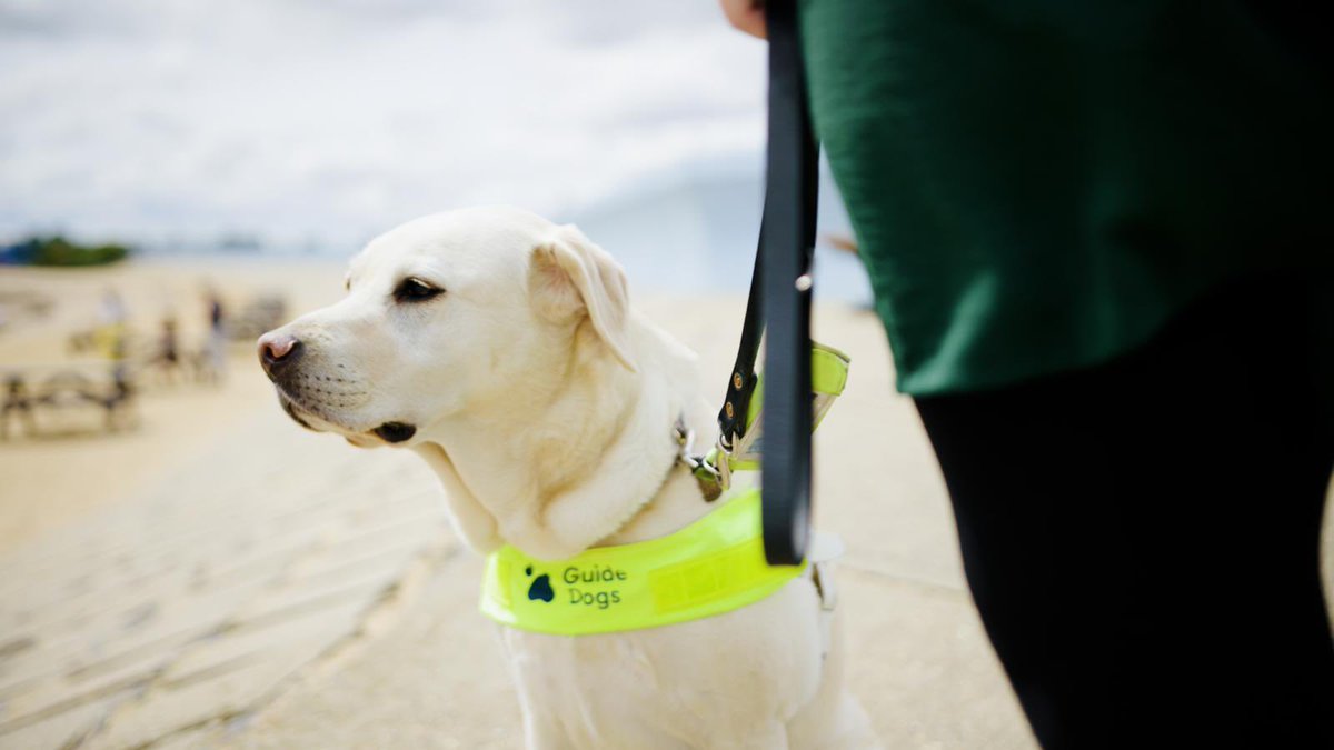 Samantha Leftwich TPT SLC tweet media