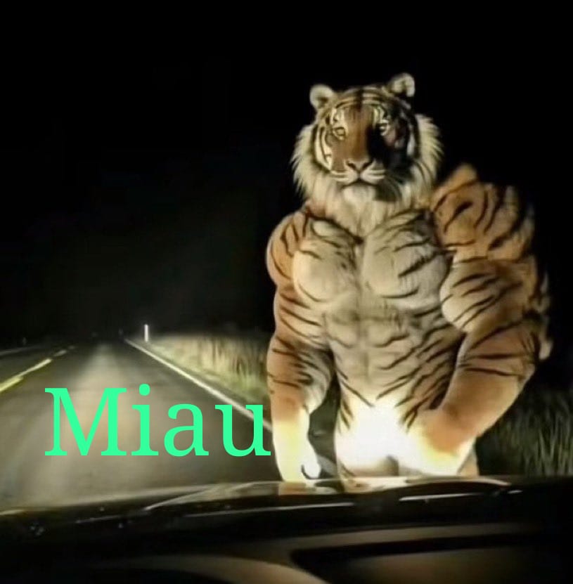 Montebello Agency tweet media