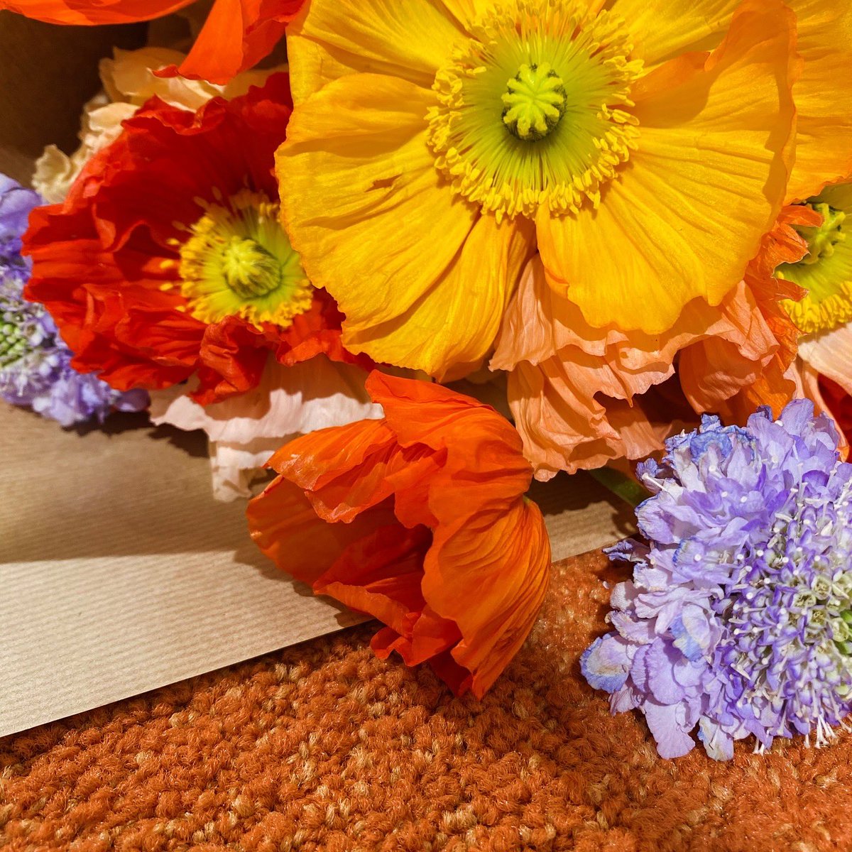 MillikenEurope tweet media