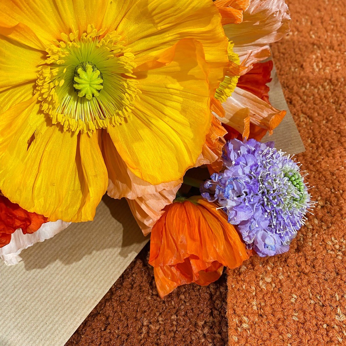 Celebrating not only the longest day but yesterday’s Summer Solstice.
 🌞☀️🌞
May your weekend bring you sunshine and joy!
 🌼
#carpettiles #summer #summersolstice #joy