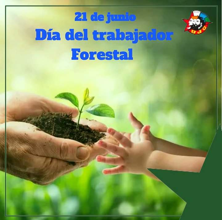 😃 ¡Buenos días juventud 🇨🇺!
 ¡𝗙𝗲𝗹𝗶𝘇 𝗱í𝗮 𝗱𝗲𝗹 𝘁𝗿𝗮𝗯𝗮𝗷𝗮𝗱𝗼𝗿 𝗳𝗼𝗿𝗲𝘀𝘁𝗮𝗹! ♥️🌱

Desde 1975, la fecha convida a reflexionar sobre la importancia que tienen los 🌳 y los bosques para conservar la vida humana en la Tierra. 

#UJCdeCuba #Cuba