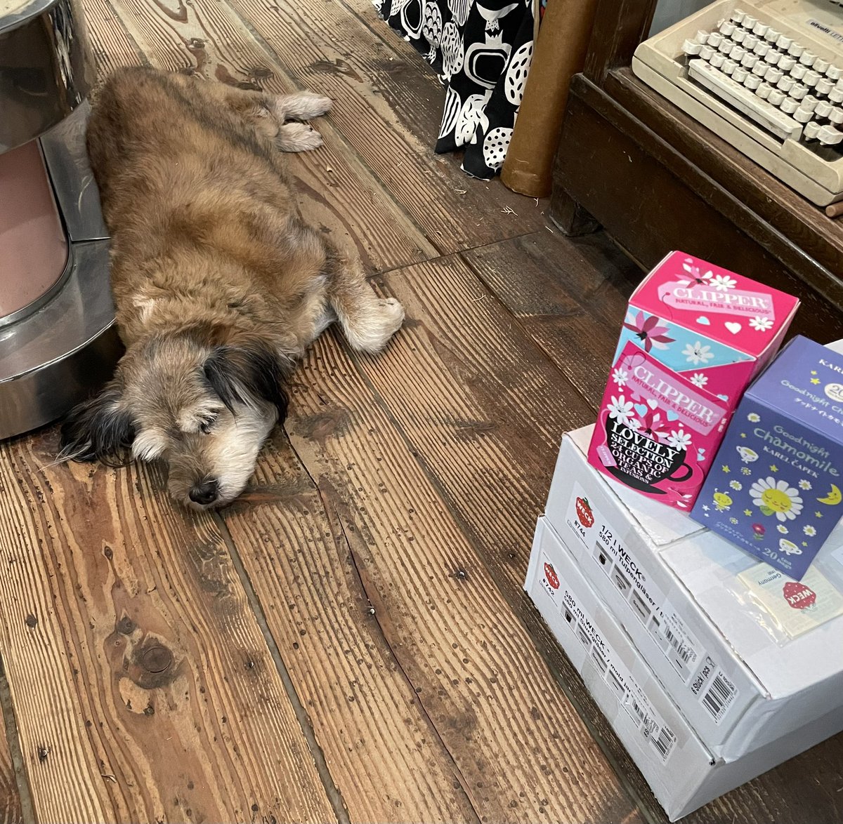 DROPS1997's tweet image. weck各種入荷いたしました。
#weck
#weckしてみた 
#福島市
#福島市雑貨屋