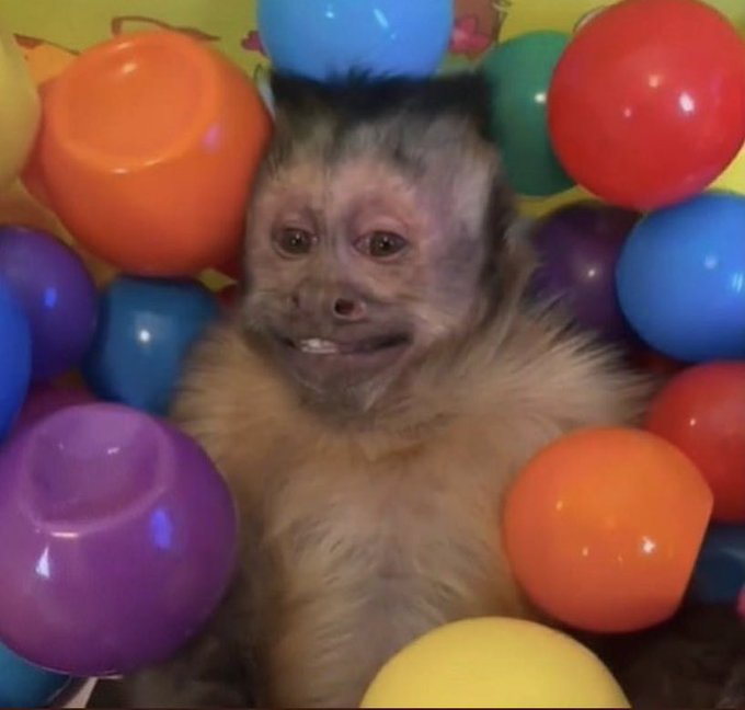 um beijo aos amigos desempregados, mas agora eu oficialmente n&atilde;o sou mais um https://t.co/35YslAna6P<a href="/tag/votelgbtq"class="tags"><span>#votelgbtq</span></a>