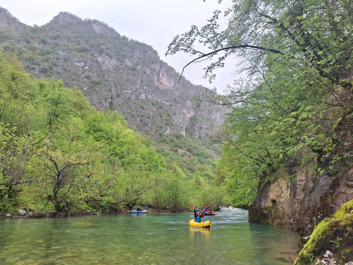 Kirsi Hyvaerinen tweet media