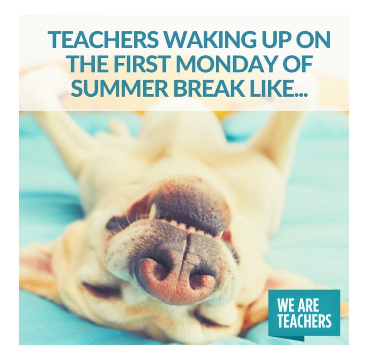 Happy LAST DAY of school everyone! ENJOY your much deserved summer break. Thank you to the most amazing staff! Your perseverance and dedication is always appreciated. Be safe and be well OB ohana!